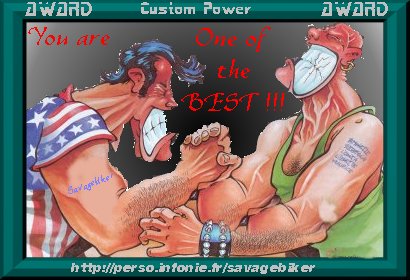 CUSTOM POWER AWARD